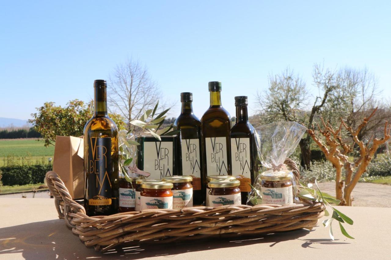 Agriturismo Verbena كاستيغليون ديل لاغو المظهر الخارجي الصورة